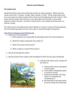Nutrient Cycle Webquest