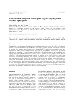 Modification of endogenous natural genes by gene targeting in rice