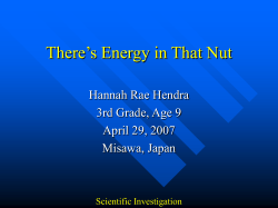 There`s Energy in That Nut