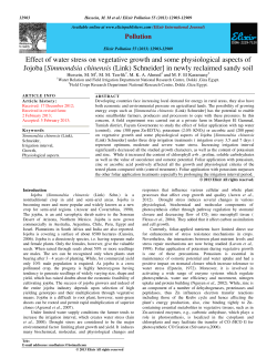 Effect of water stress on vegetative growth and some physiological