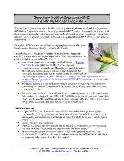 Genetically Modified Organisms (GMO) Genetically Modified Food