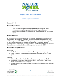Activity 2: Population Dynamics of Wildlife and Cattle in East Africa