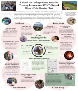 Slow Down Use All Your Senses Observe. Observe. Observe. It`s