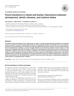 Floral transitions in wheat and barley - Max-Planck