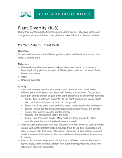 Plant Diversity pre.post activities
