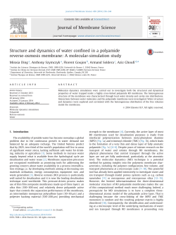 Structure and dynamics of water confined in a polyamide reverse