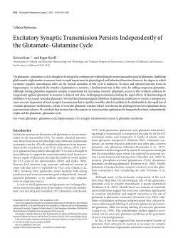 Excitatory Synaptic Transmission Persists Independently of the