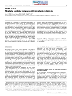 Metabolic plasticity for isoprenoid biosynthesis in bacteria