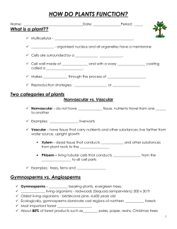 How do plants and animals function