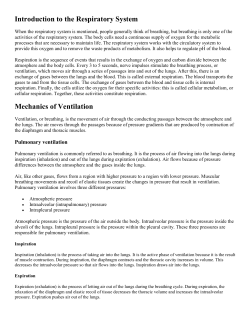 When the respiratory system is mentioned, people generally think of