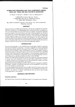 altered rust resistance and yield components arising from leaf tissue