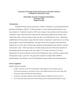 Attraction of Parasitic Wasps of the Invasive Emerald Ash Borer to