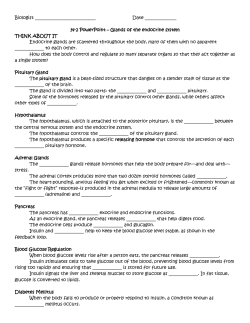 Biologist Date 34-2 PowerPoint &ndash; Glands of the endocrine system