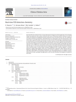 Real-time PCR detection chemistry