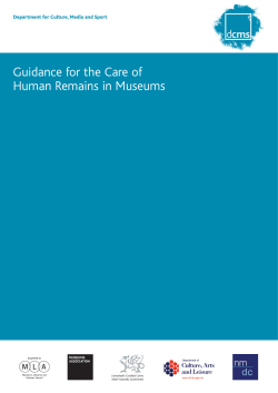 Guidance for the Care of Human Remains in Museums