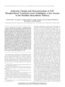 Molecular Cloning and Characterization of ATP