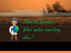 MRS GREN cambridge definitions with videos JP