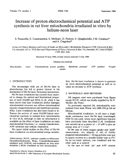 Increase of proton electrochemical potential and ATP synthesis in rat