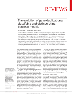 The evolution of gene duplications: classifying and distinguishing