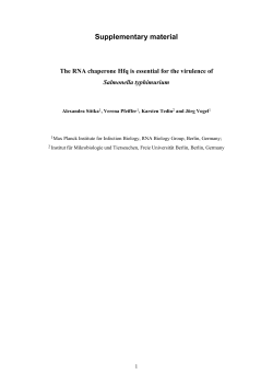 The RNA chaperone Hfq is essential for virulence