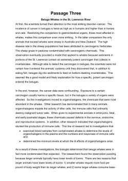 Handout 3 - MENA Teacher Summit