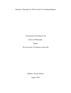 herbicide safeners - Trace: Tennessee Research and Creative