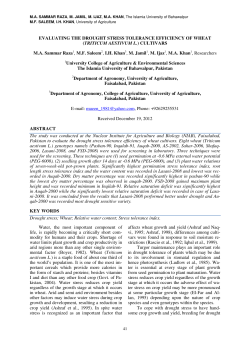 evaluating the drought stress tolerance efficiency of wheat