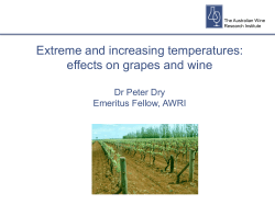 Can vine and wine nutrient status affect wine quality?