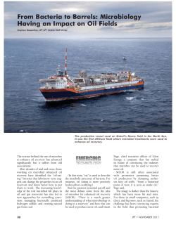 From Bacteria to Barrels: Microbiology Having