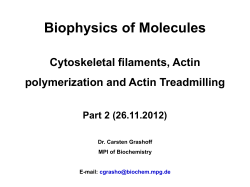Biophysics of Molecules