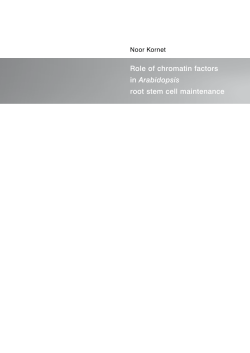 Role of chromatin factors in Arabidopsis root stem cell maintenance