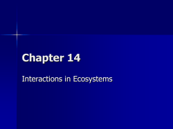 Chapter 14