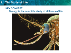 1.1 The Study of Life