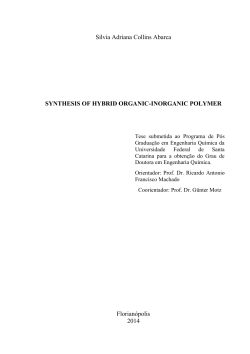 UNIVERSIDADE FEDERAL DE SANTA CATARINA