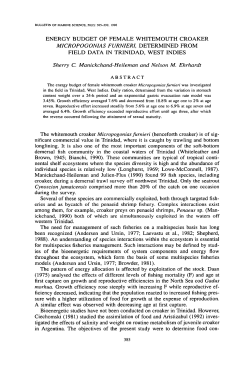 Energy Budget of Female Whitemouth Croaker