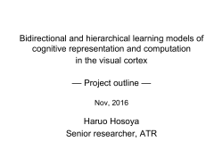 Bidirectional and hierarchical learning models of cognitive