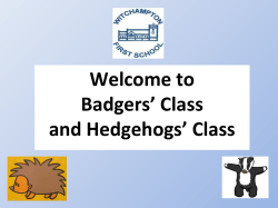 Things you need to know - Witchampton C of E Voluntary Aided First