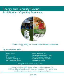 Energy and Security Group