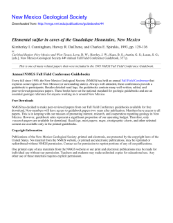 Elemental sulfur in caves of the Guadalupe Mountains, New Mexico