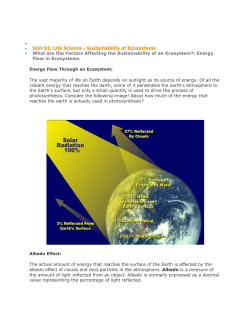 Energy Flow Through an Ecosystem