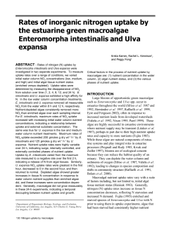 Rates of inorganic nitrogen uptake by the estuarine
