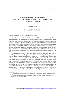 Postoncospheral development and cycle of Taenia