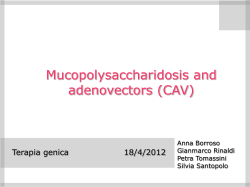 Diapositiva 1
