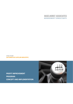 profit improvement program - Haselhorst Associates GmbH