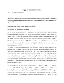 Supplementary information Manuscript MMI-2015