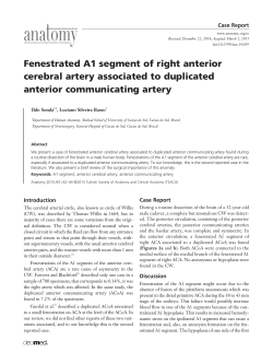 Fenestrated A1 segment of right anterior cerebral artery associated