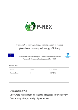 Deliverable D 9.2 Life Cycle Assessment of selected processes for P