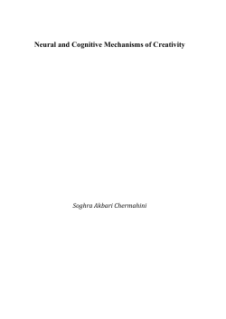 Neural and Cognitive Mechanisms of Creativity