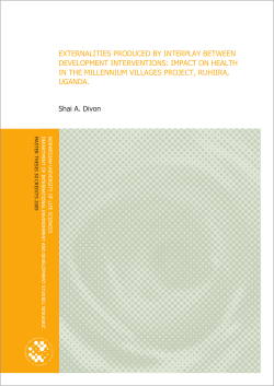 externalities produced by interplay between development