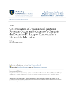 Co-sensitization of Dopamine and Serotonin Receptors Occurs in